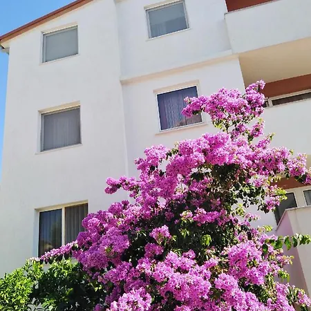 公寓 Apartman Vlado