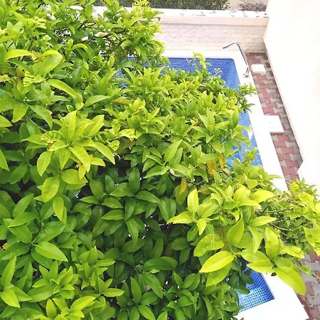 Apartman Vlado Apartment