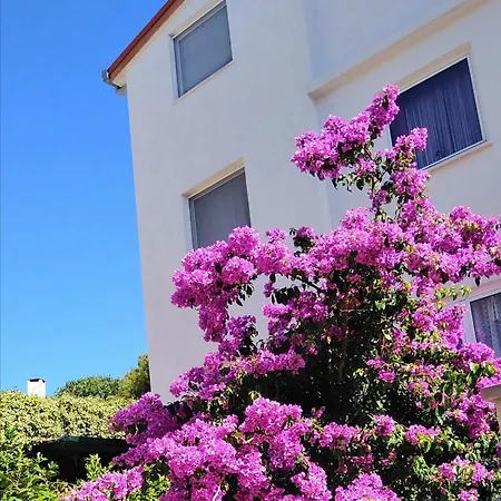 Apartman Vlado Apartment Trogir